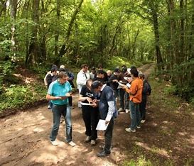 Course d’orientation